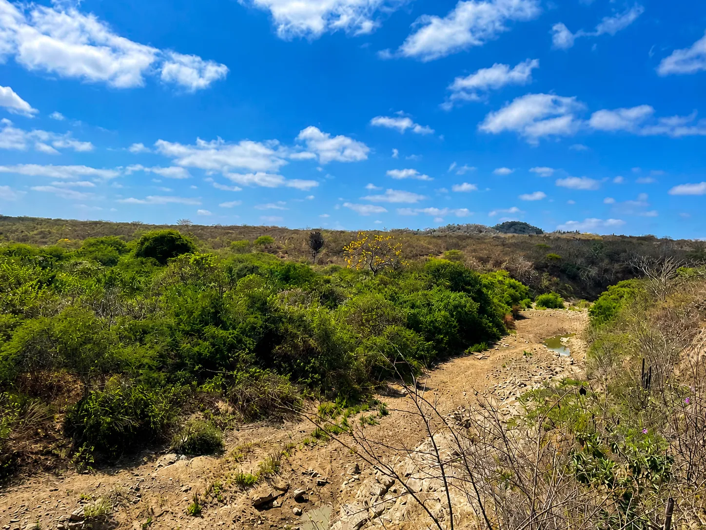 Terreno en venta en