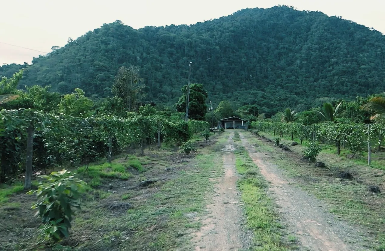 Hacienda agroturistica en venta ubicada en la Vía Naranjal Bucay – Foto 2