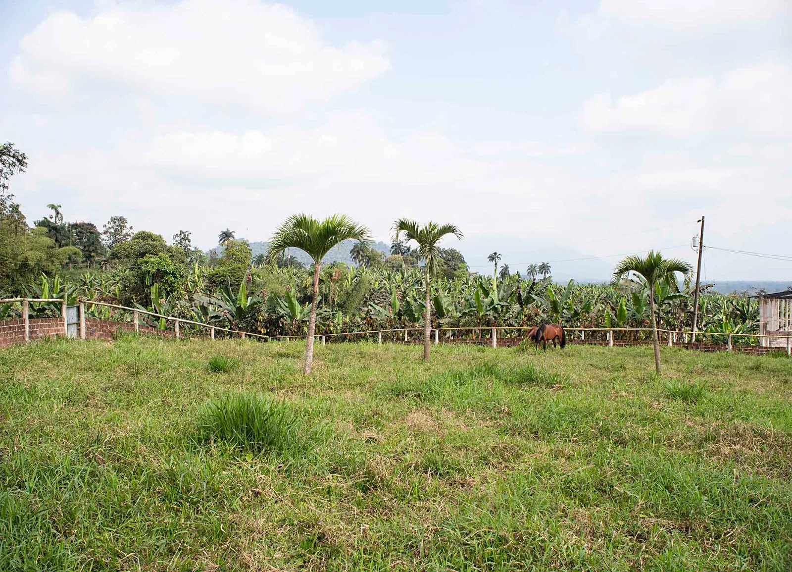 Lotización en venta ubicado en Altos de Bucay – Foto 2