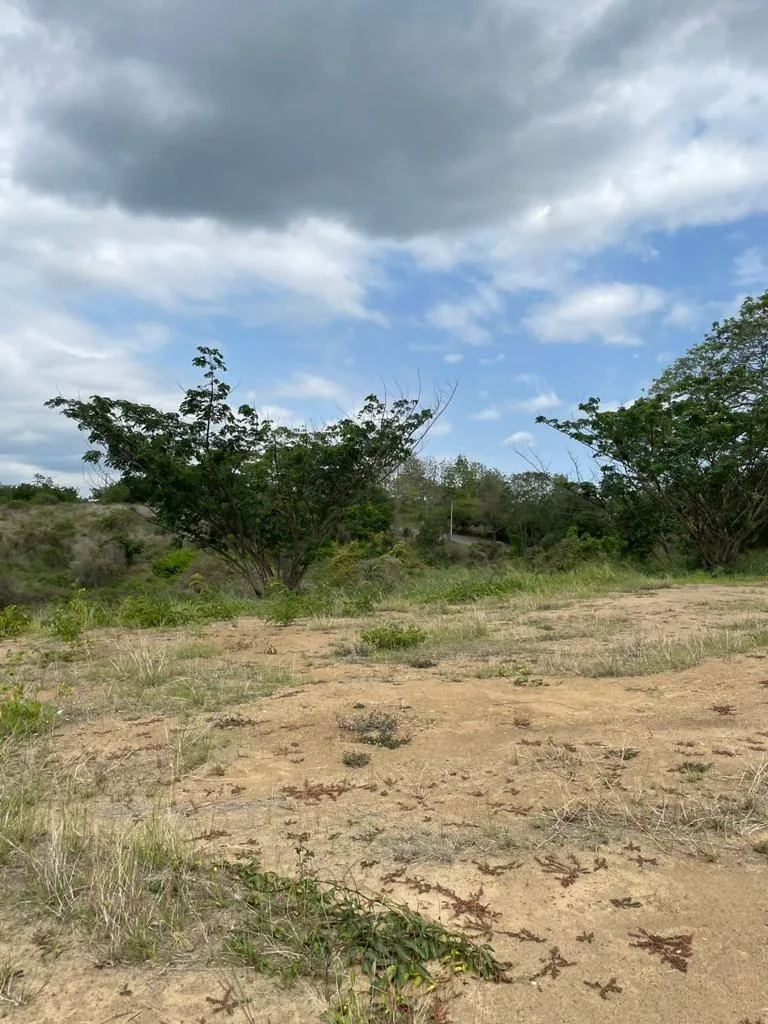 Solar en venta ubicado en Lomas del Bosque, Vía a la Costa – Foto 2