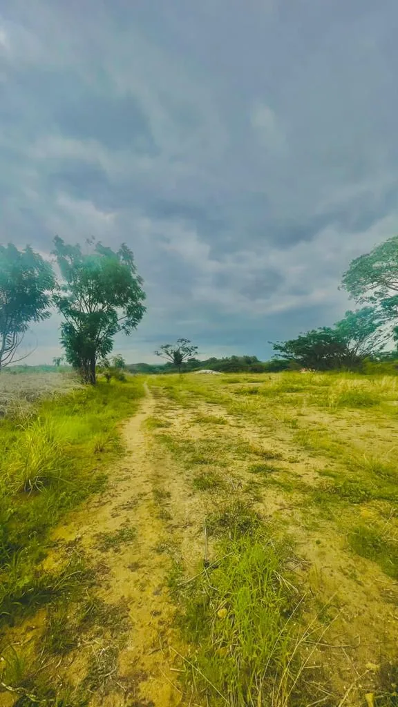 Solar en venta ubicado en Lomas del Bosque, Vía a la Costa – Foto 2