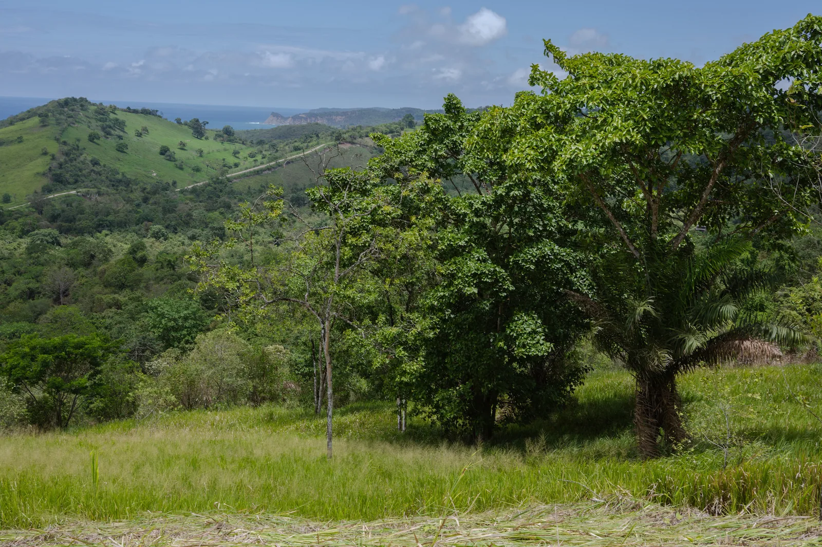 Terreno en venta ubicado en Ayampe, Manabi – Foto 1