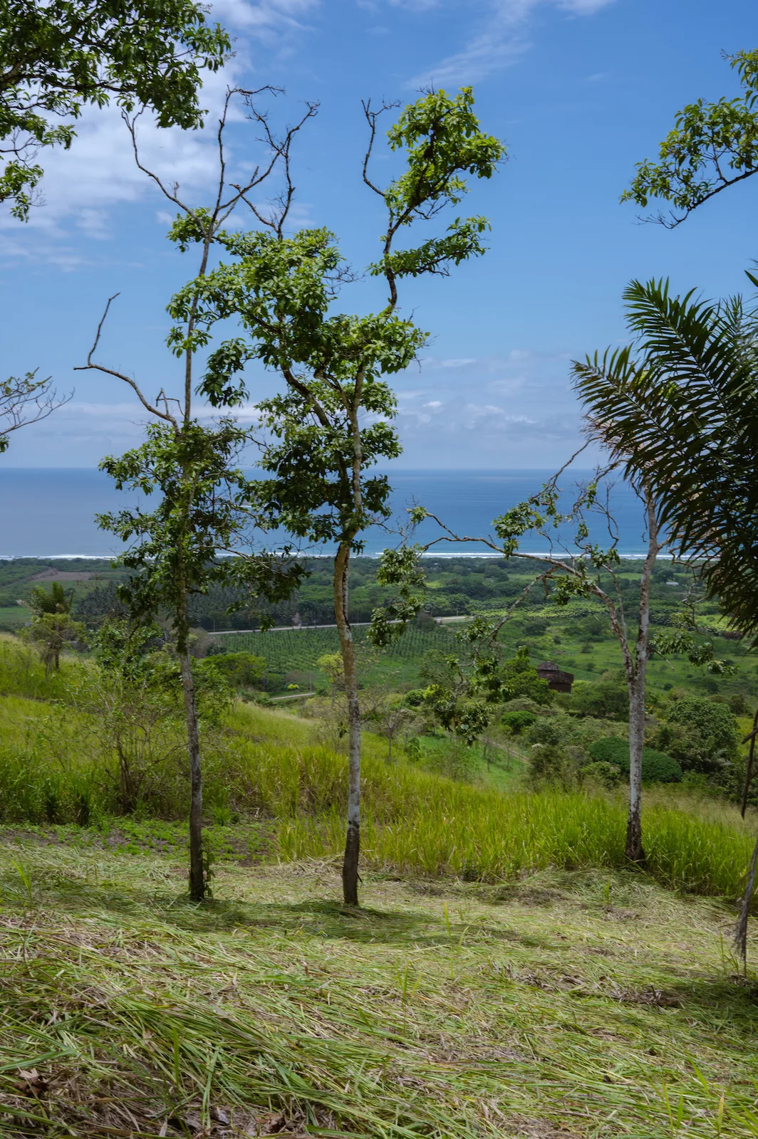 Terreno en venta ubicado en Ayampe, Manabi – Foto 5