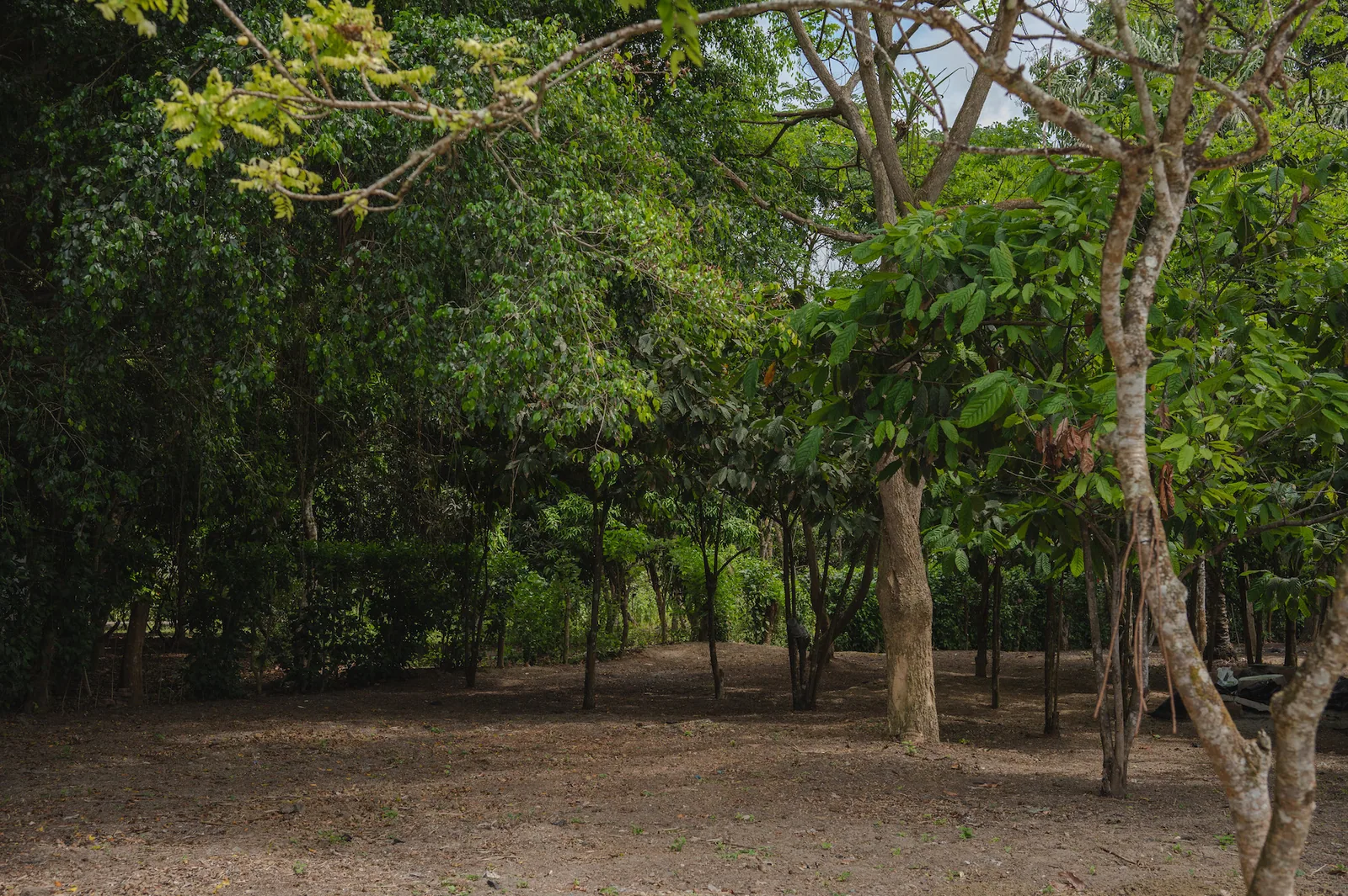 Terreno en venta Ubicado Ayampe, Manabí – Foto 1