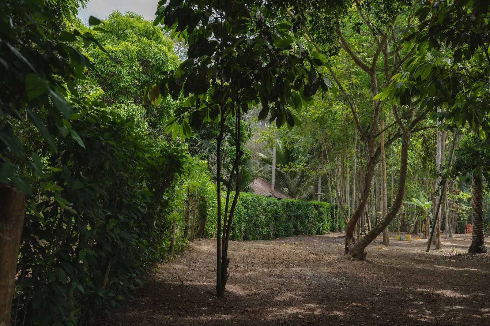 Terreno en venta Ubicado Ayampe, Manabí – Foto 2