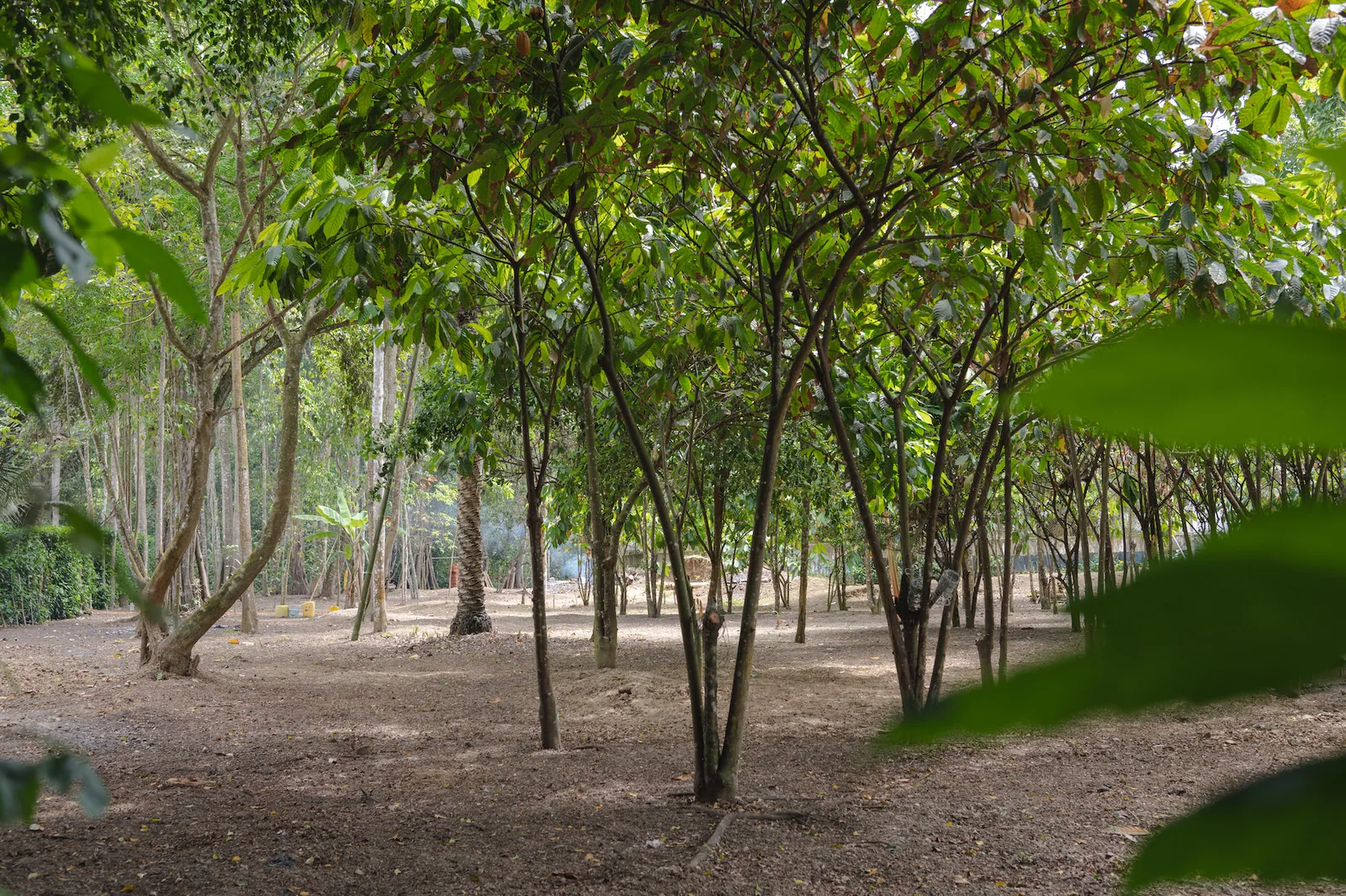 Terreno en venta Ubicado Ayampe, Manabí – Foto 4