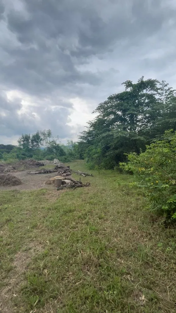 Terreno de 2 hectáreas en venta en el Km 19 Vía a la Costa – Foto 1