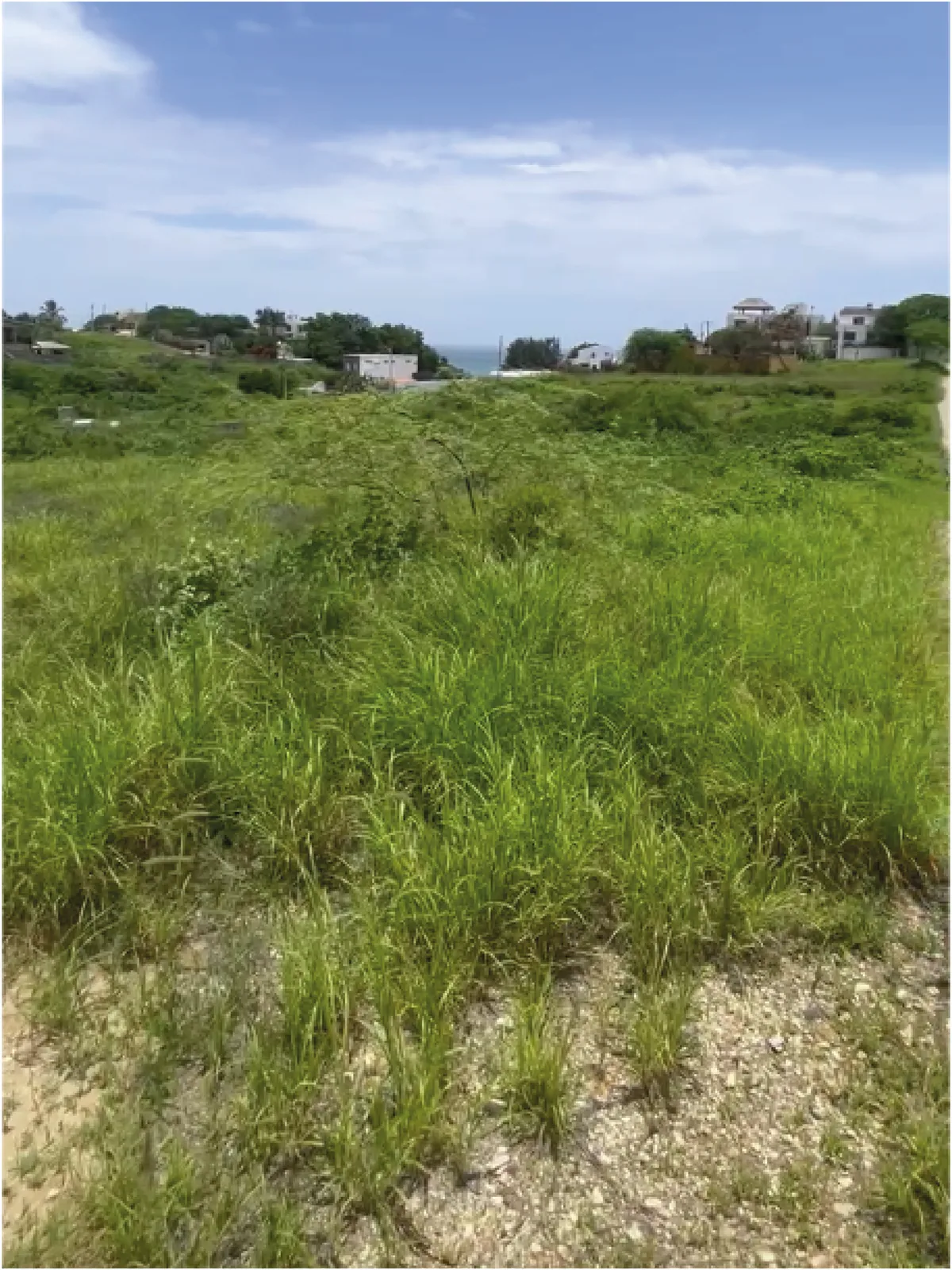 Terreno en venta ubicado en Punta Blanca, Santa Elena – Foto 2