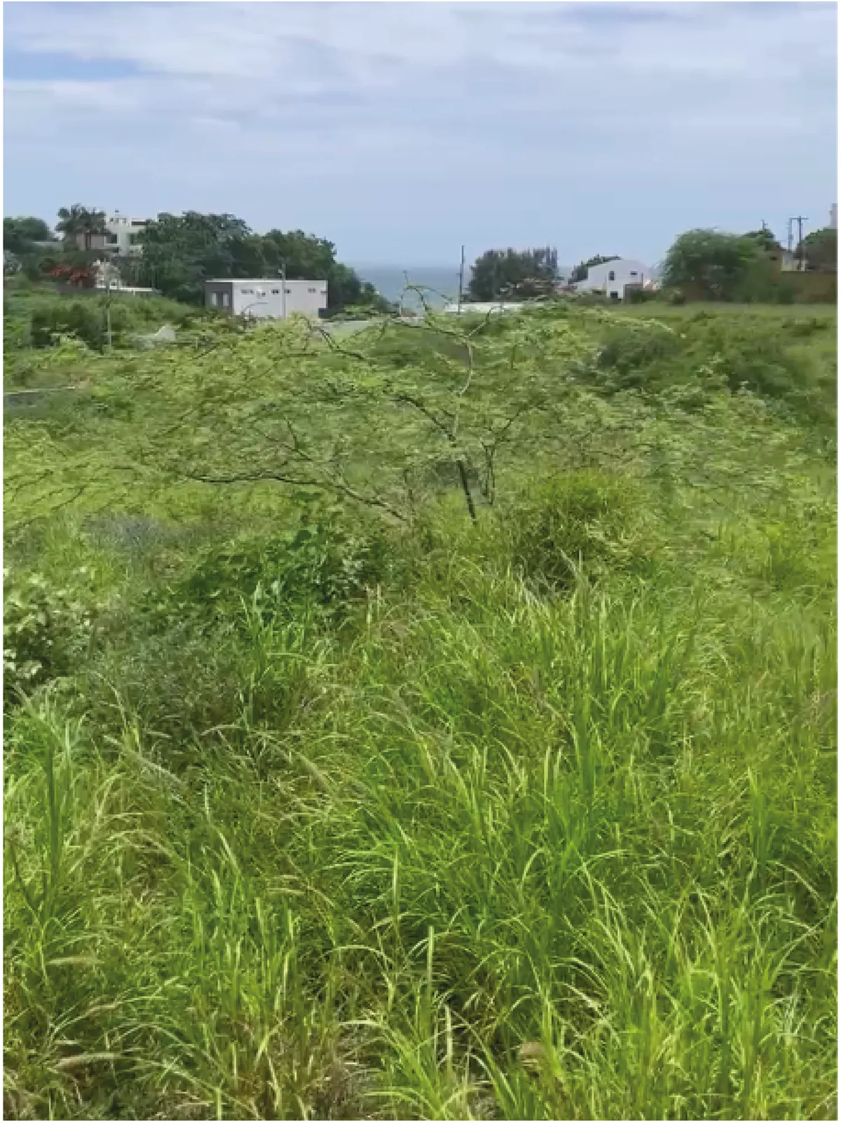 Terreno en venta ubicado en Punta Blanca, Santa Elena – Foto 3