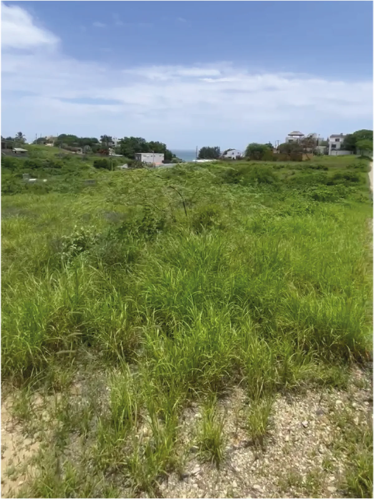 Terreno en venta ubicado en Punta Blanca, Santa Elena – Foto 4