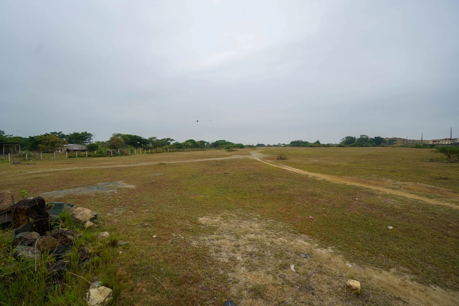 Venta de terreno ubicado en Vía Salitre, Cantón Daule – Foto 2