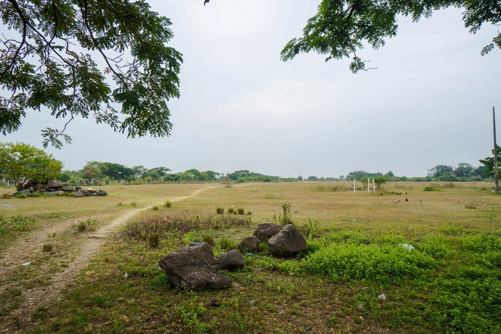 Venta de terreno ubicado en Vía Salitre, Cantón Daule – Foto 4