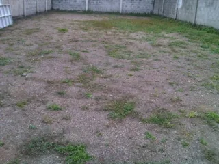 Vendo Terreno en Ciudad Celeste – Foto 1