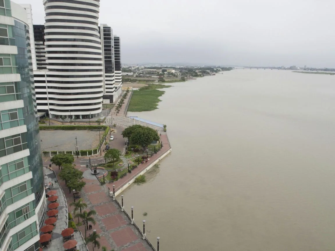 Alquiler de suite en River Front - Ciudad del Río Guayaquil – Foto 1