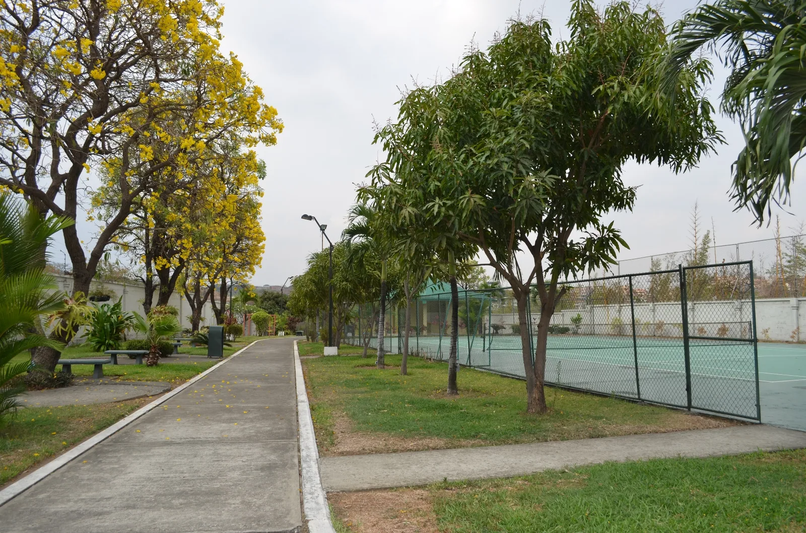 Departamento en alquiler en Urbanización Parque de los Ceibos sector Ceibos – Foto 3