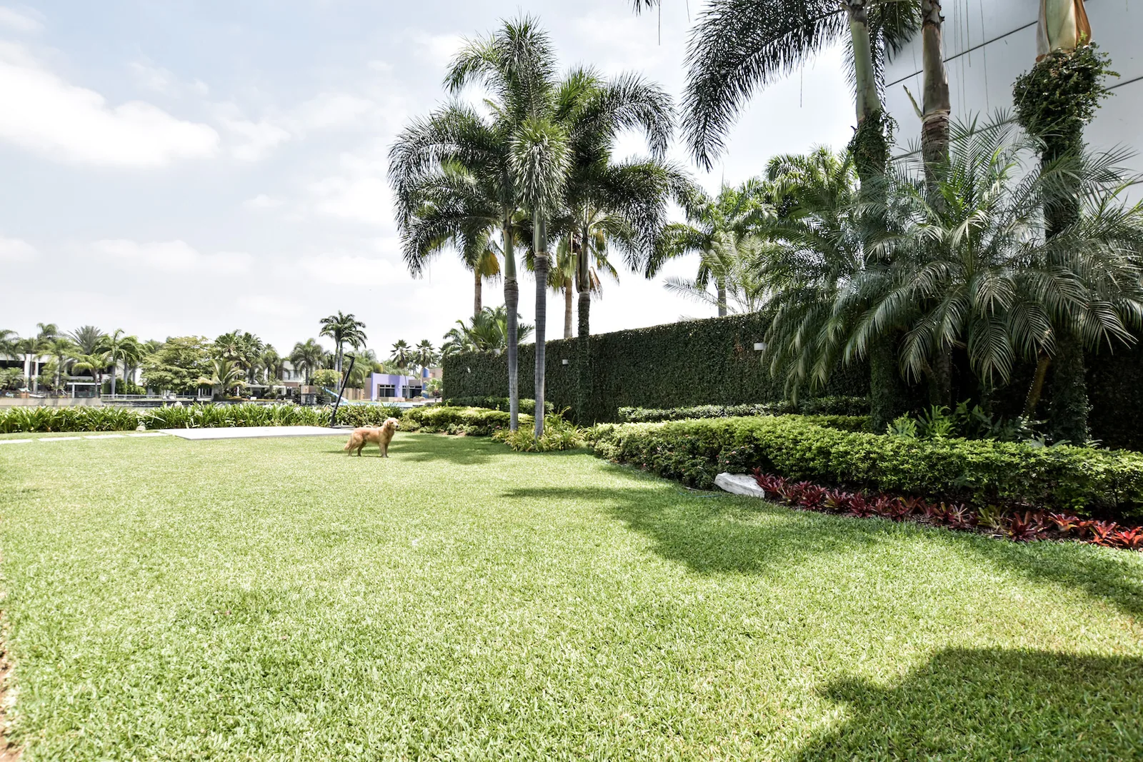 Casa en venta en la Urbanización Castelago, Vía Samborondón – Foto 2