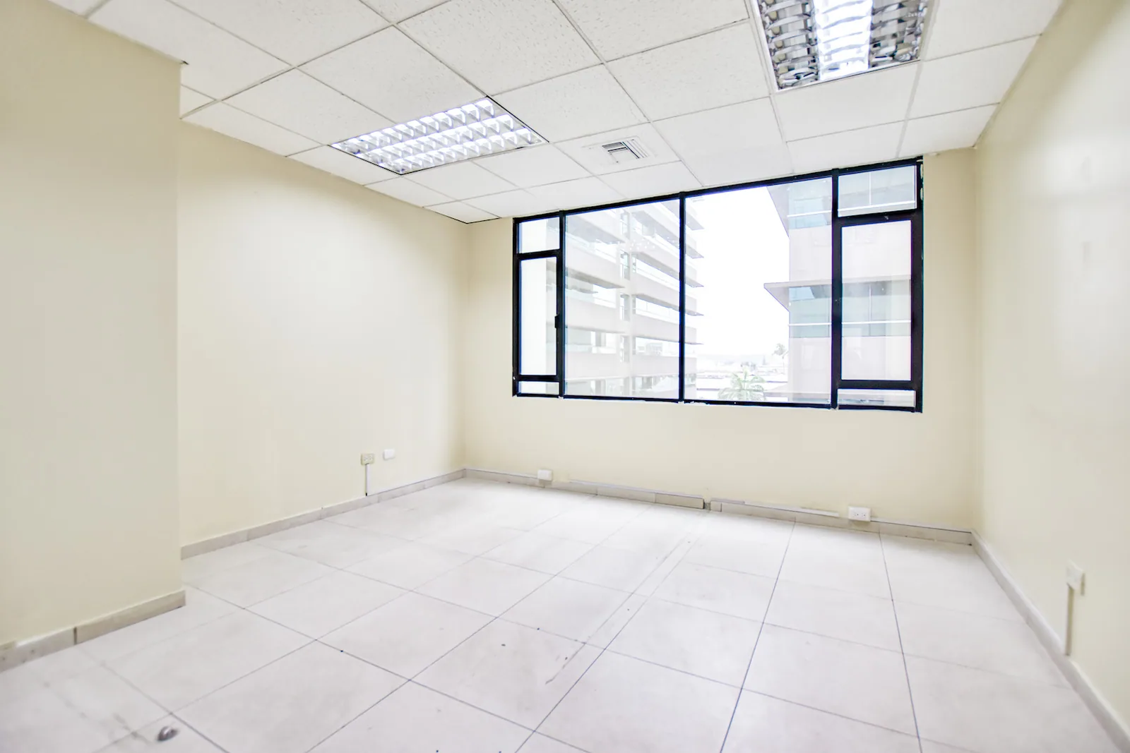 Alquiler de Oficinas en Edificio Professional Center – Foto 3