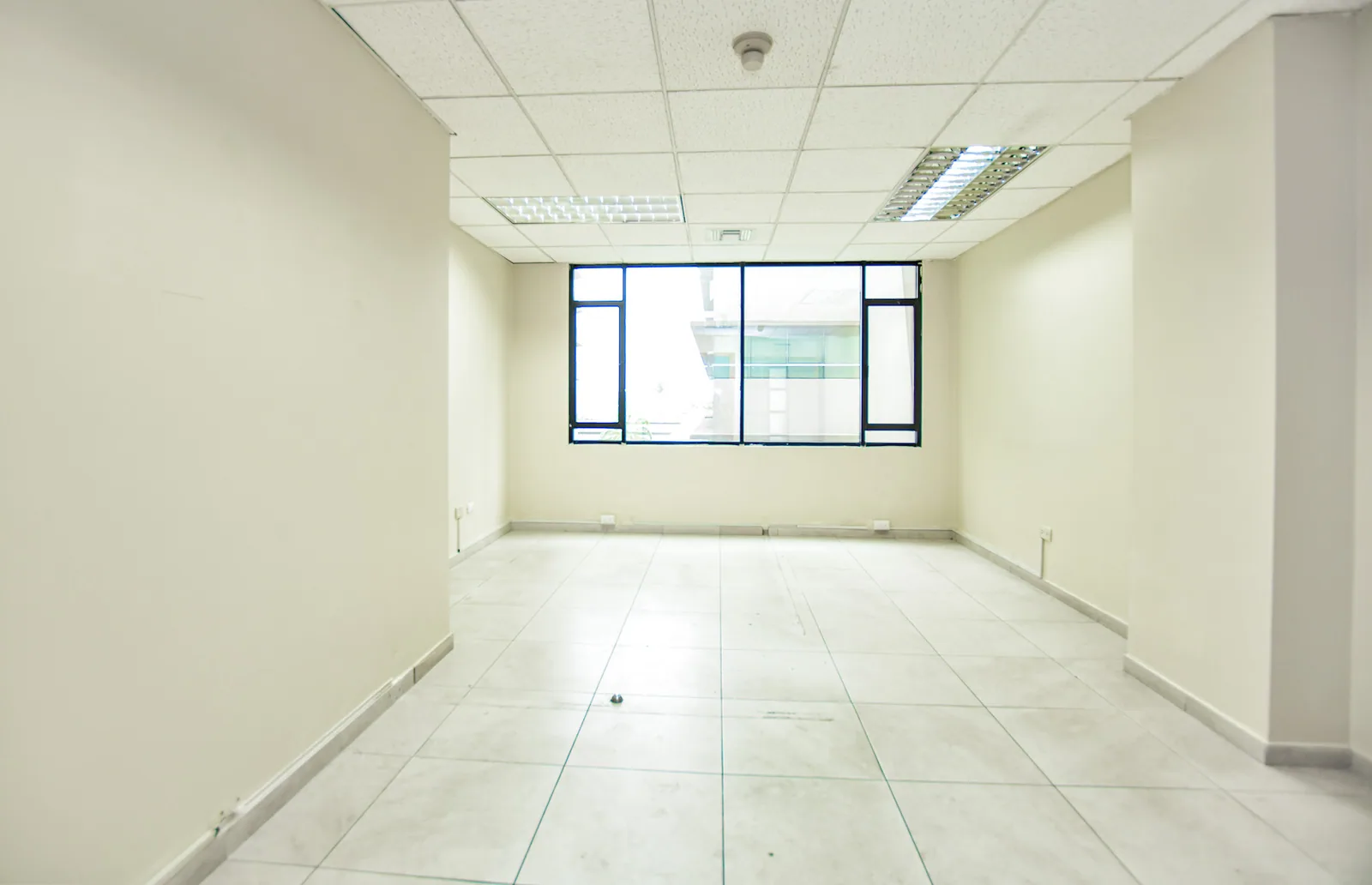 Alquiler de Oficinas en Edificio Professional Center – Foto 4