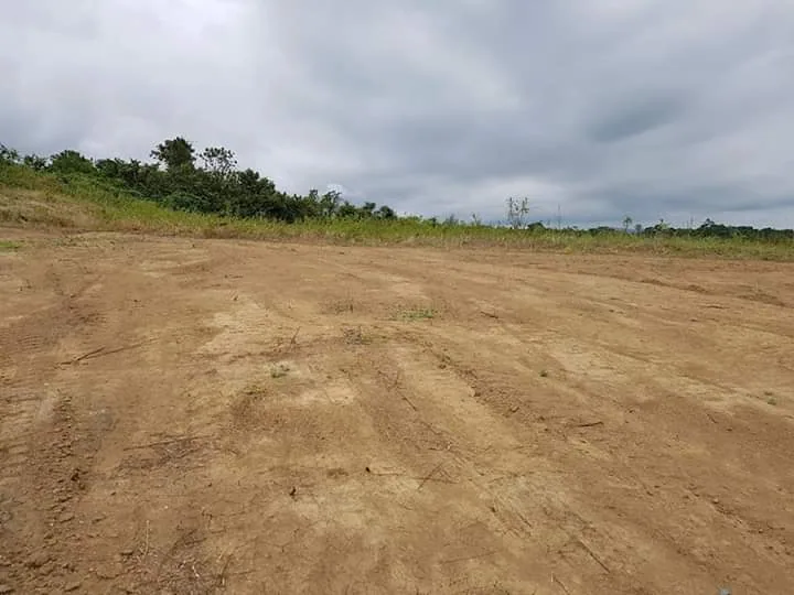 Terreno en venta Urbanización Lomas del Bosque  – Foto 4