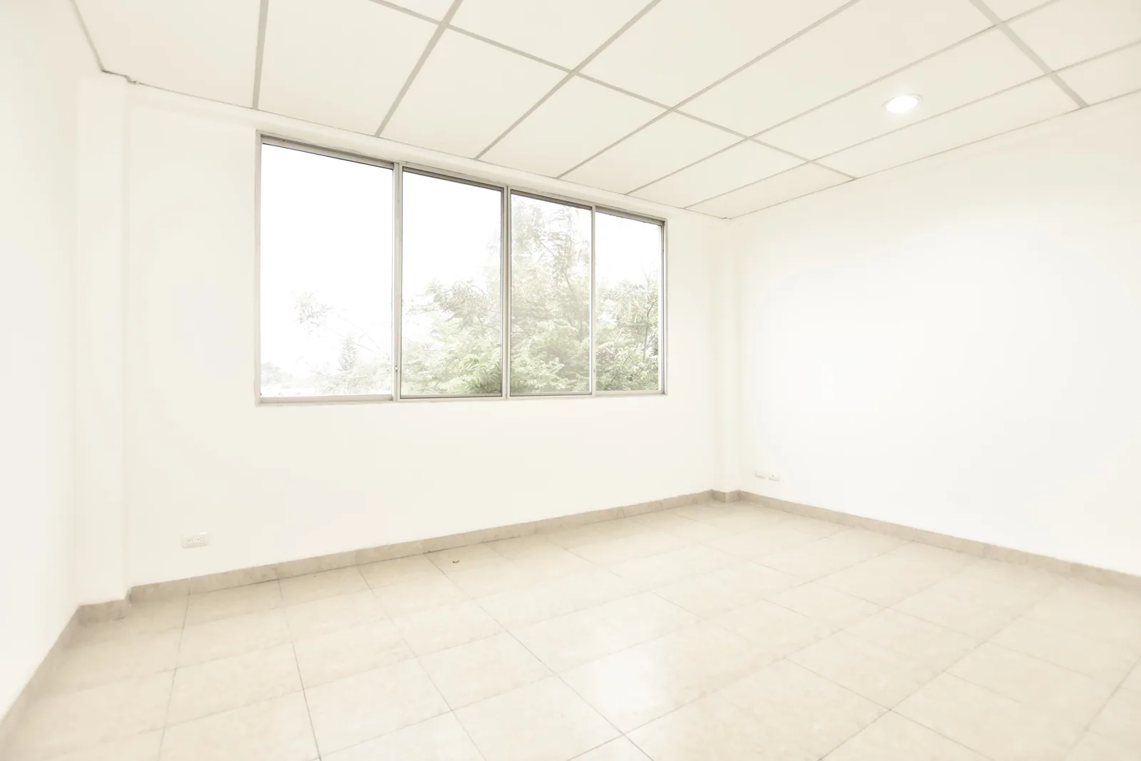 Amplio departamento en venta ubicado en Santa Cecilia, Los ceibos – Foto 5