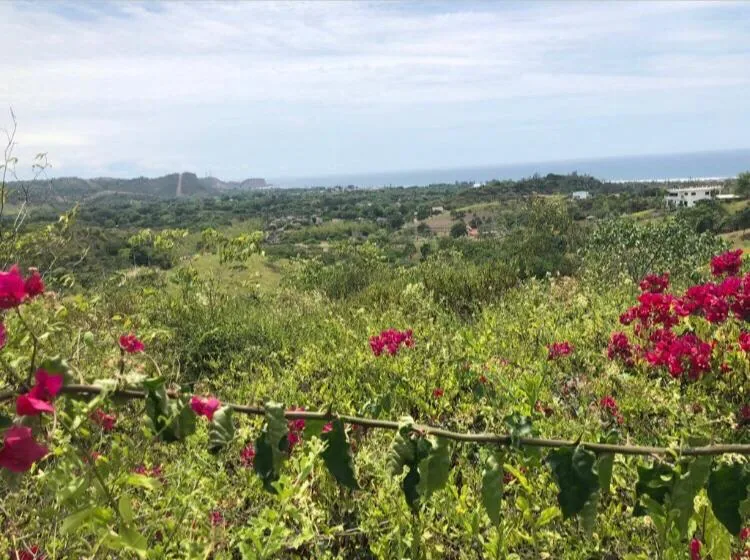 Terreno en Altos de Olón con vista al mar en venta – Foto 2
