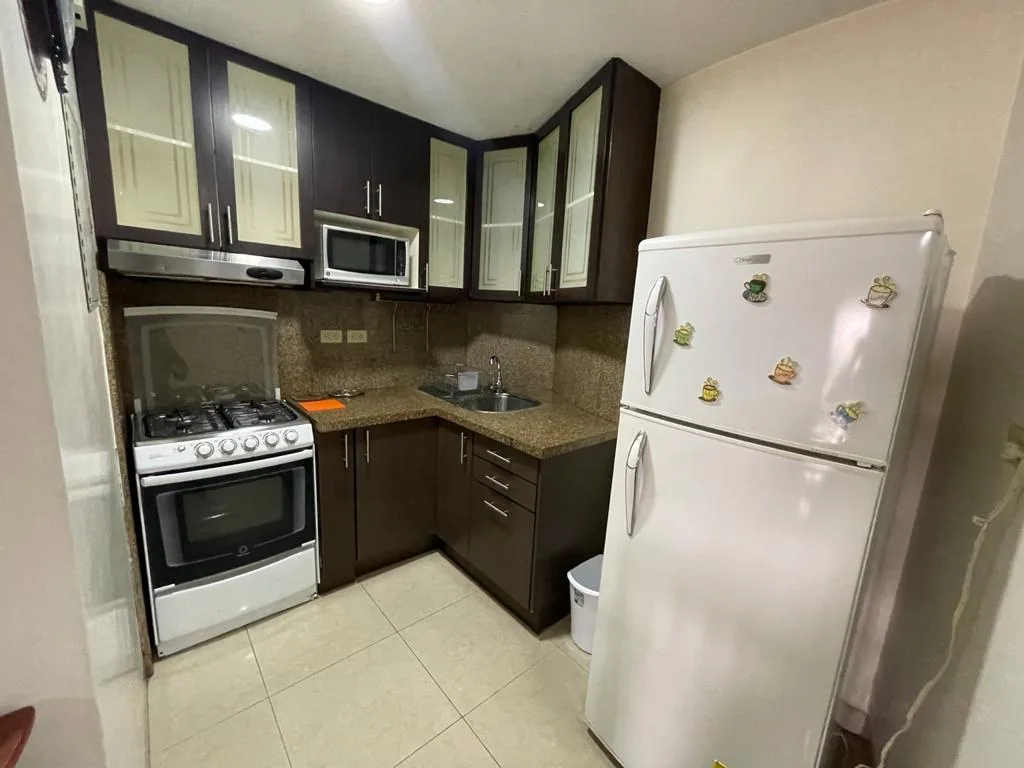 Departamento amoblado en alquiler ubicado en Ciudad Colón – Foto 3