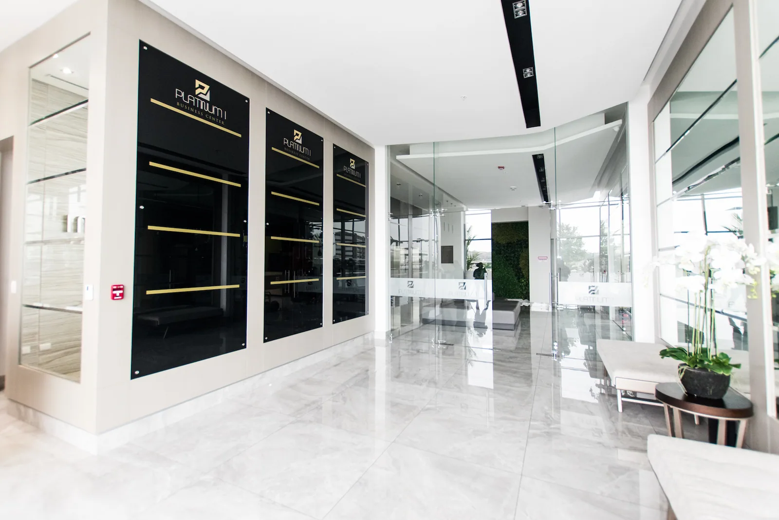 Oficina Comercial en Alquiler Edificio Platinum  – Foto 2