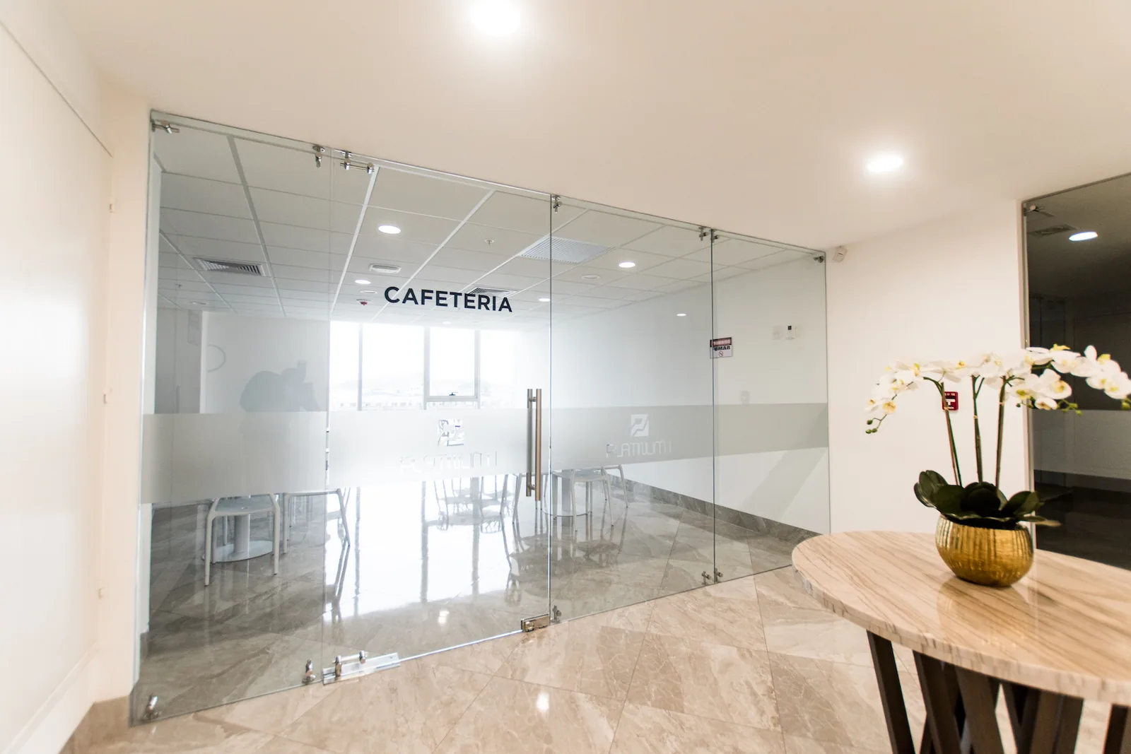 Oficina Comercial en Alquiler Edificio Platinum  – Foto 4